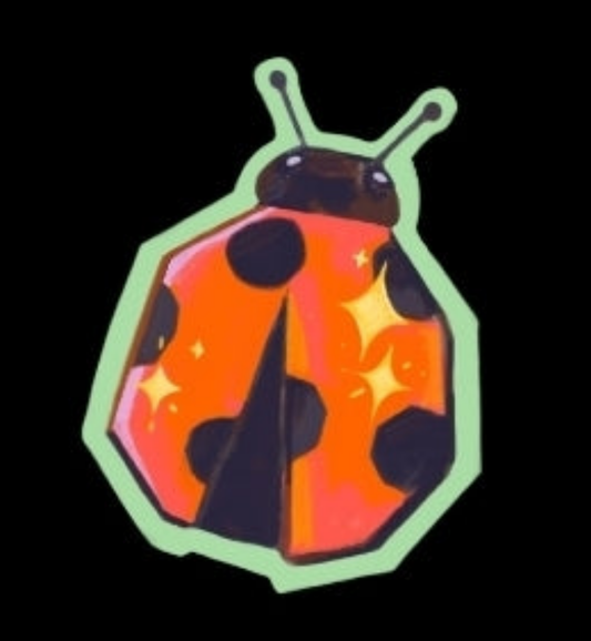 My friend the ladybug